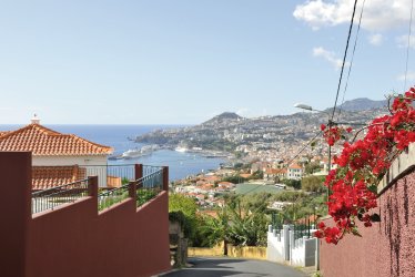 Blick über die Insel Madeira © BMJ - shutterstock.com
