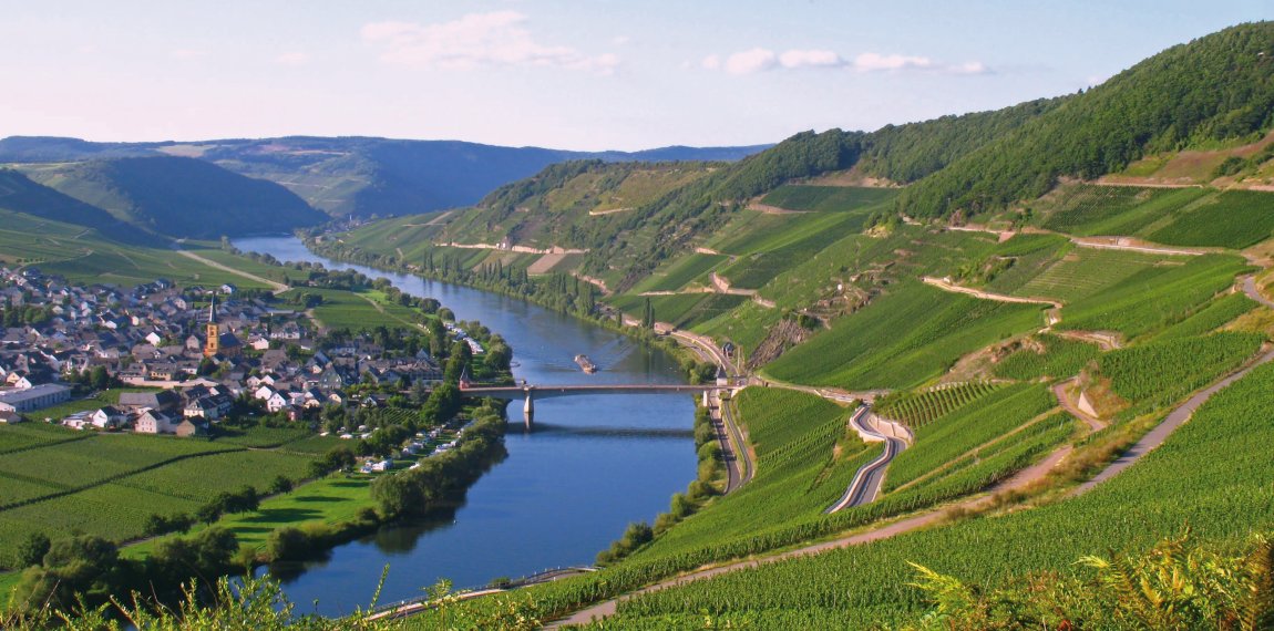 Blick auf Trittenheim an der Mosel © pics - Fotolia.com