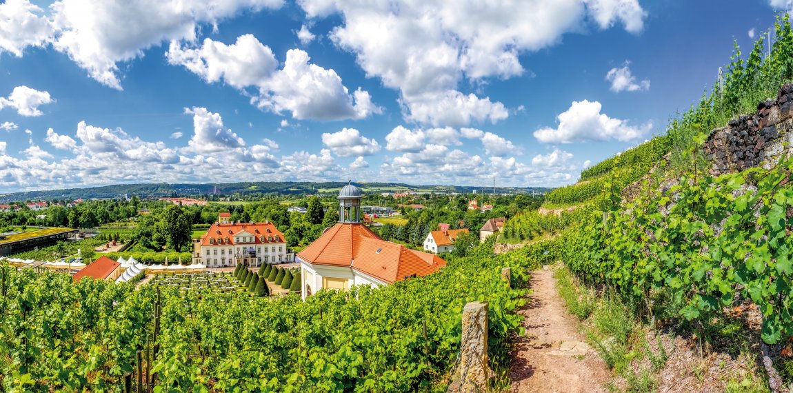 Schloss Wackerbarth © Sina Ettmer - adobe.stock.com