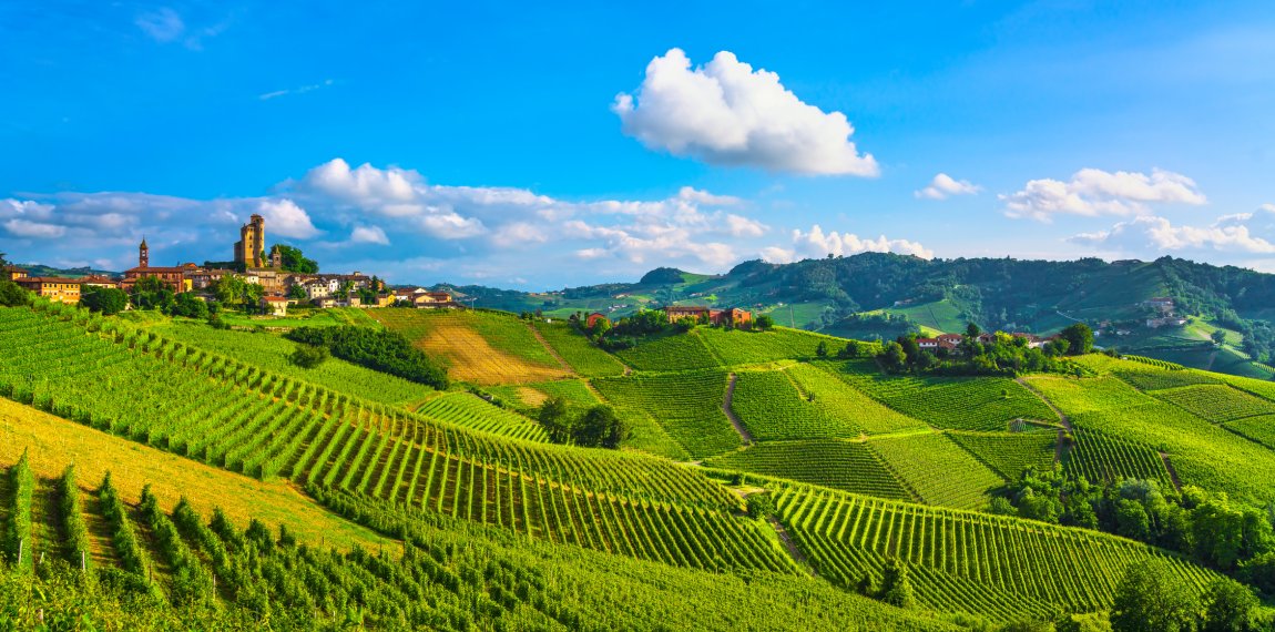 Weinberge in Serralunga d'Alba © stevanzz-fotolia.com