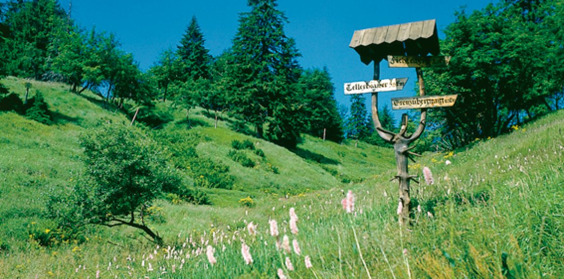 Erzgebirge