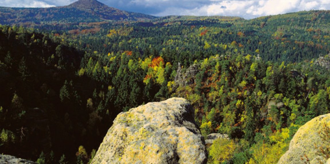 Oberlausitzer Bergweg
