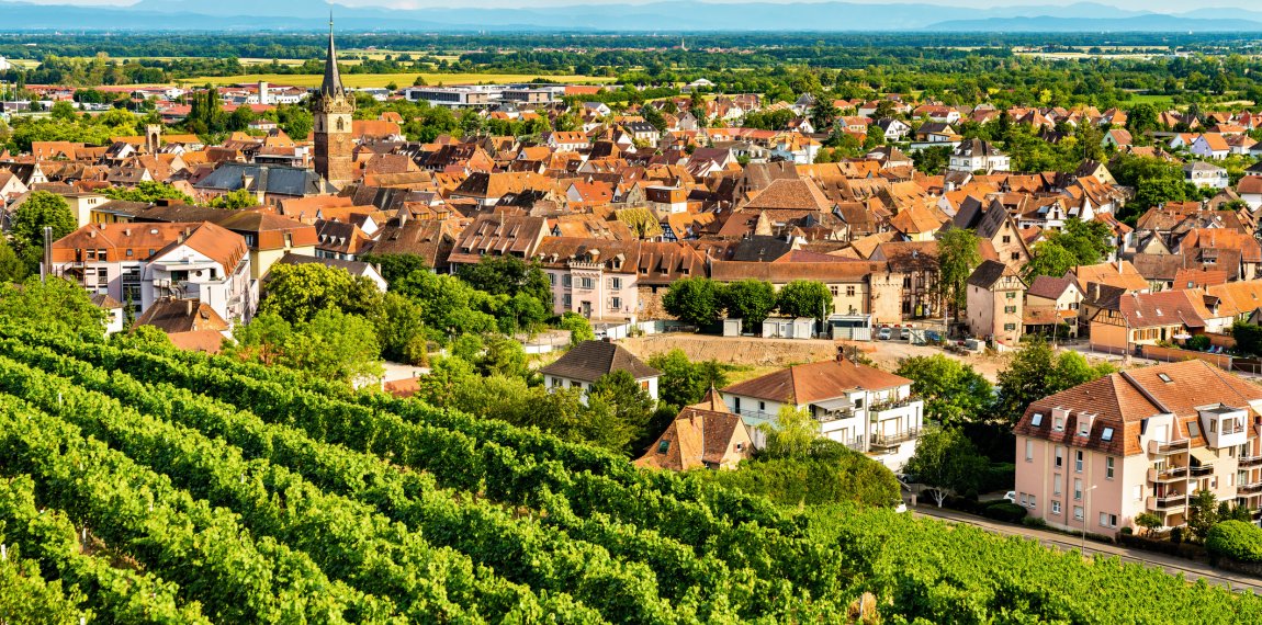 Blick von den Weinbergen auf Obernai © Leonid Andronov - stock.adobe.com