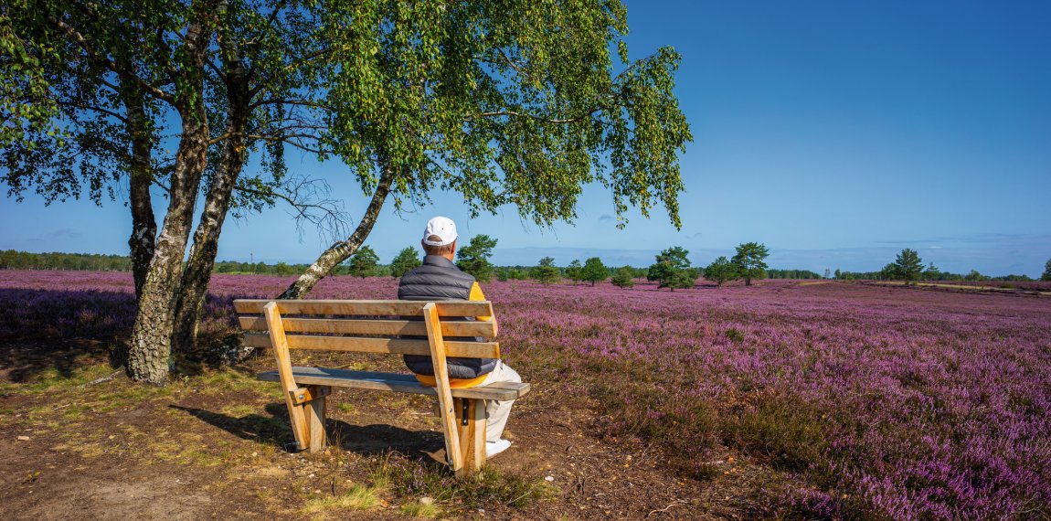 Rast in der Lüneburger Heide © RuZi - stock.adobe.com