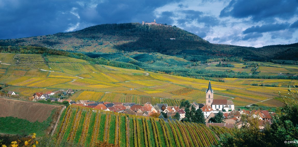 Weinberge Dorf Rodem und Haute Koenigsbourg © CRTA/Zvardon