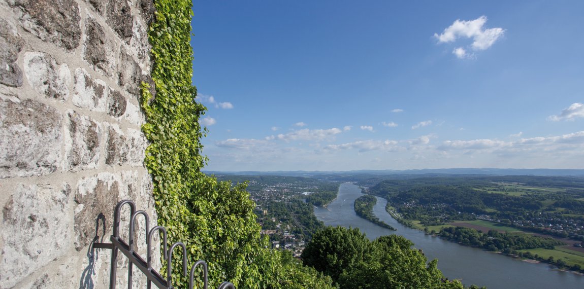 Blick vom Drachenfels auf den Rhein © Tobias Arhelger -fotolia.com