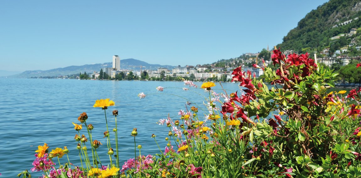 Montreux © HappyAlex-fotolia.com