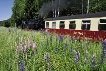 Harzer Schmalspurbahn © dieter76-fotolia.com