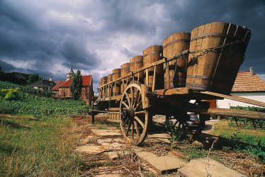 Landidyll © Peter Eckert