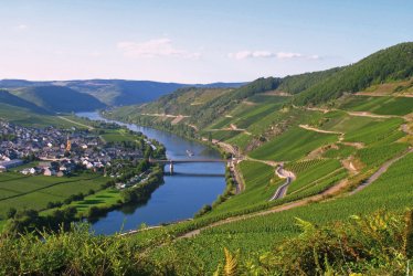 Blick auf Trittenheim an der Mosel © pics - Fotolia.com