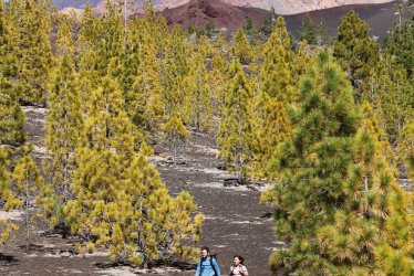 Wandern im Teide Nationalpark © Maridav-fotolia.com