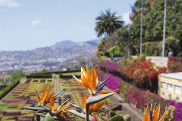 Botanischer Garten in Funchal © Olga A-shutterstock.com/2013