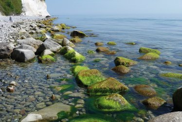 Kreideküste - Kreidefelsen © zammfisch-fotolia.com