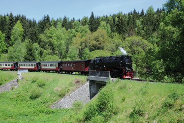 Brockenbahn (Harzer Schmalspurbahn) © dieter76-fotolia.com