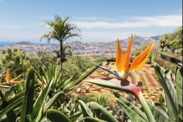 Botanischer Garten in Funchal © Kruwt-fotolia.com