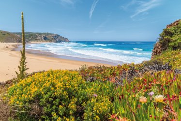 Praia do Amado - Algarve © pkazmierczak-fotolia.com