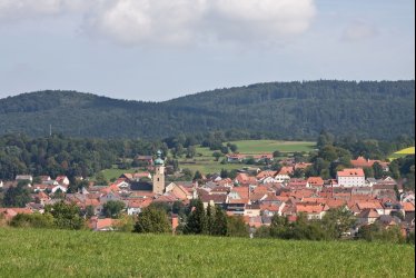 Blick auf Waldmünchen © Tourismusgemeinschaft Waldmünchner Urlaubsland e.V.