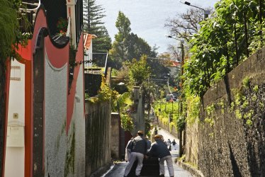 Korbschlittenfahrt auf dem Monte, Funchal © Andrey Shevchenko-fotolia.com