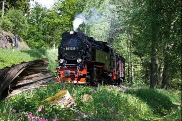Harzer Schmalspurbahn © dk-fotowelt-stock.adobe.com