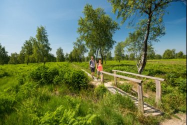 Eifelsteig Struffelt Heide © Eifel Tourismus GmbH D. Ketz