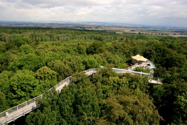 Baumkronenpfad © Thüringer Tourismus Gmbh