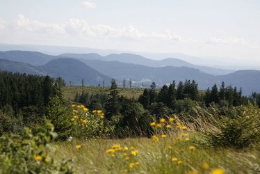 Baiersbronner Seensteig