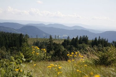 Baiersbronner Seensteig