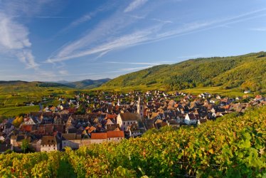 Elsass Riquewihr