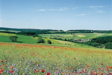 Hunsrück © Hunsrück Touristik