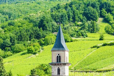 Weinberge von Ribeauville © Richard Semik - stock.adobe.com