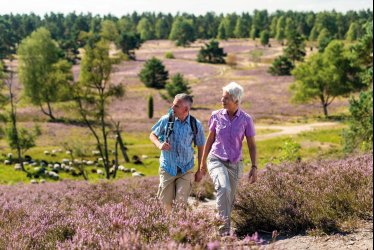 Wanderer in der Nordheide bei Buchholz © DZT/Lüneburger Heide GmbH/Dominik Ketz