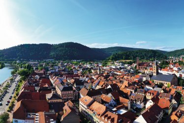 Eberbach am Neckar von oben © cityfoto24 - stock.adobe.com