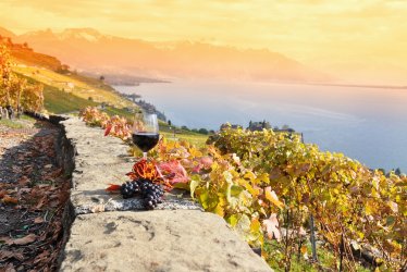 Weinterrassen im Lavaux © HappyAlex - stock.adobe.com