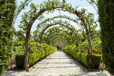 Lost Gardens of Heligan © Matt Jessop