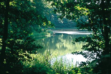 Gothensee © Usedom Tourismus GmbH