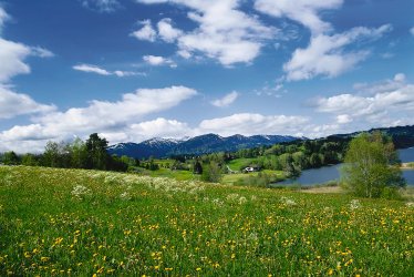 Frühlingslandschaft © FVA Allgäu/Bayer. Schwaben