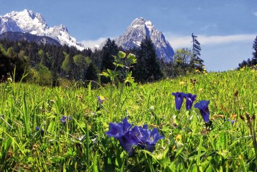 Blick auf die Zugspitze bei Garmisch-Partenkirchen © Michael Rucker - stock.adobe.com