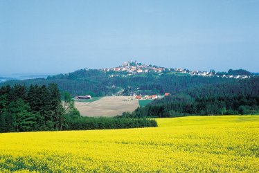 bei Leuchtenberg, Rapsfeld © TV Ostbayern e.V.