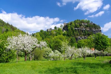 Berg Oybin und Kloster © LianeM - stock.adobe.com