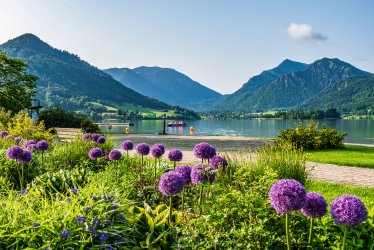 Uferpromenade Schliersee © fottoo - stock.adobe.com