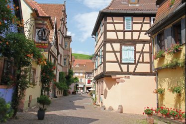 Gasse in Riquewihr © Le monde en photos-fotolia.com