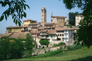 Monforte d'Alba © TU Langhe Roero