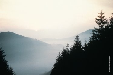 Harzlandschaft im Nebel