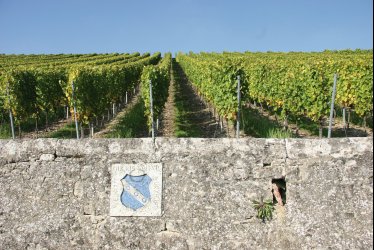 Weingut Juliusspital Wappenstein