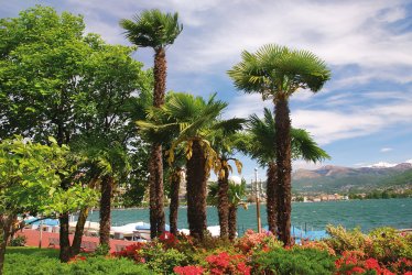 Am Luganer See in Lugano © Peter Eckert