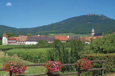 Vor der Haut Königsburg in Orschwiller © Peter Eckert