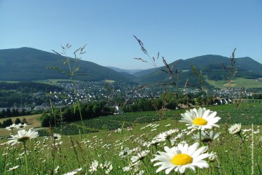 Blick auf Olsberg © Touristik und Stadtmarketing Olsberg GmbH