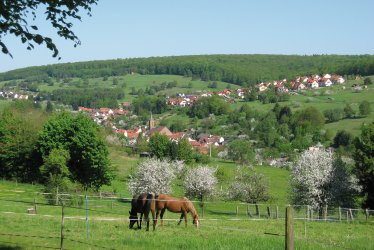 Blick auf Weibersbrunn