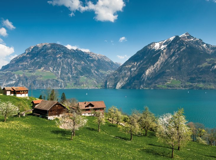 Frühling am Vierwaldstätter See © Peter Wey-shutterstock.com/2013
