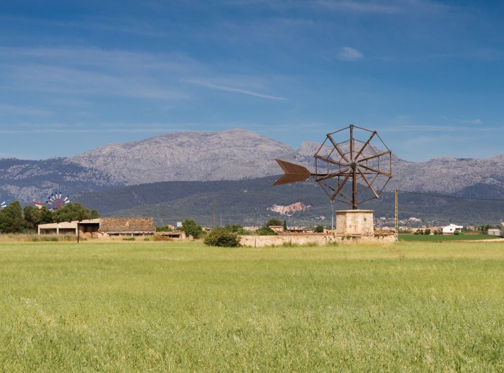 Windmühle auf Mallorca © Circumnavigation-stock.adobe.com